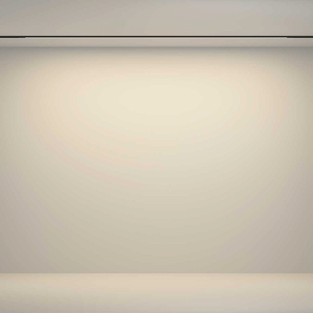 Трековый светильник Maytoni Technical TR180-1-24WTW-B изображение 8 Трековый светильник Maytoni Technical TR180-1-24WTW-B Фото № 8