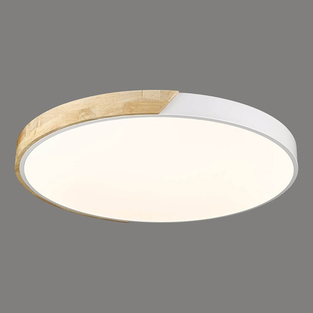 Потолочный светодиодный светильник Velante 445-067-01 изображение Потолочный светодиодный светильник Velante 445-067-01 Фото №