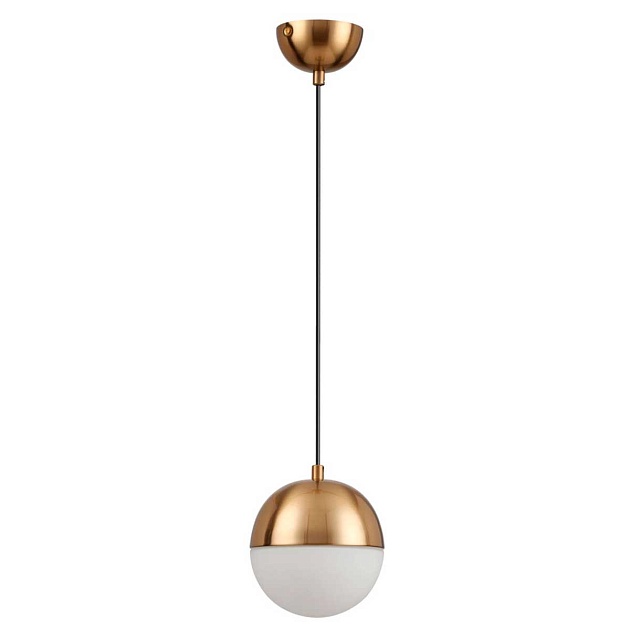 Подвесной светильник Odeon Light Pendant Pinga 4960/1 изображение Подвесной светильник Odeon Light Pendant Pinga 4960/1 Фото №