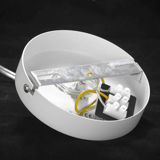 Подвесной светильник Lussole Lgo Bossier GRLSP-8274 Фото № 6