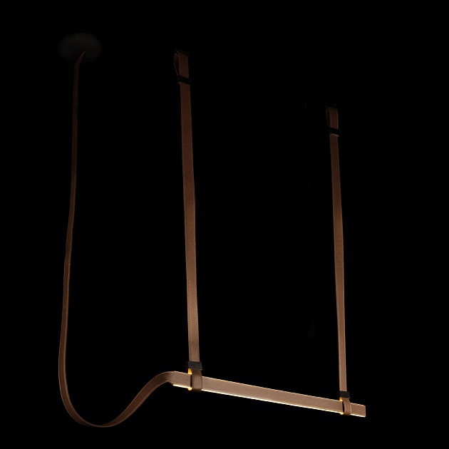 Подвесной светодиодный светильник Loft IT Strong 10241/1200 изображение 7 Подвесной светодиодный светильник Loft IT Strong 10241/1200 Фото № 7