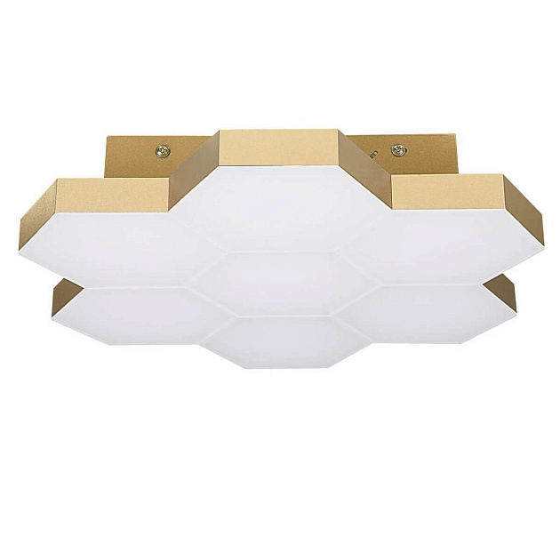 Потолочный светильник Lightstar Sote 750073 Фото № 