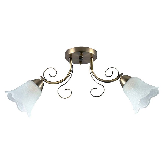 Потолочный светильник ЭкономСвет 12157/2AB WT Фото № 