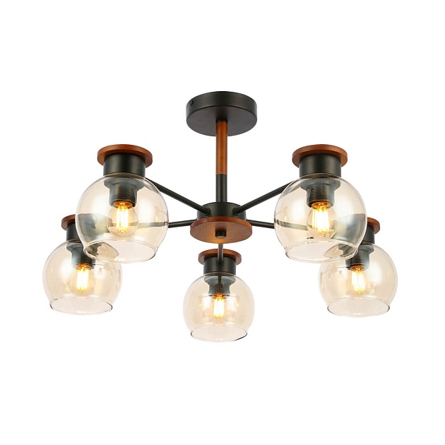 Потолочная люстра Evoluce Rasco SLE108102-05 Фото № 5