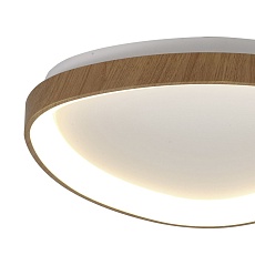 Потолочный светодиодный светильник Mantra Niseko 8055 1