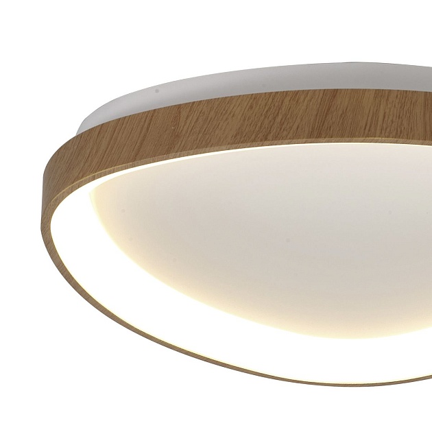 Потолочный светодиодный светильник Mantra Niseko 8055 Фото № 2