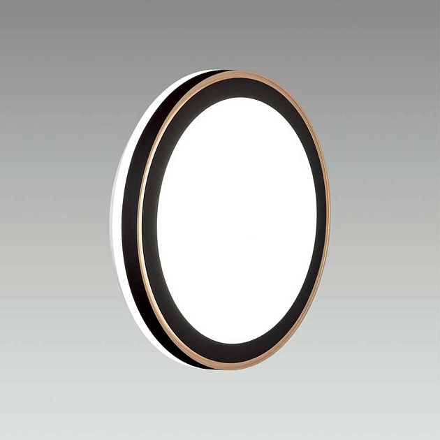 Настенно-потолочный светодиодный светильник Sonex Akuna 7620/DL Фото № 6