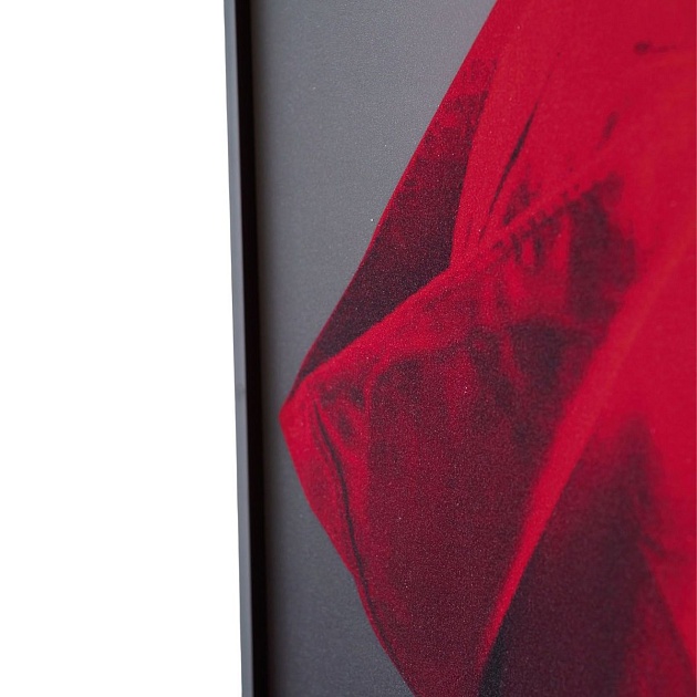 Картина Lumina Deco FP Red Hat 80-120 изображение 5 Картина Lumina Deco FP Red Hat 80-120 Фото № 5