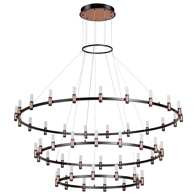 Подвесная светодиодная люстра Odeon Light Candel 5009/204L изображение Подвесная светодиодная люстра Odeon Light Candel 5009/204L Фото №