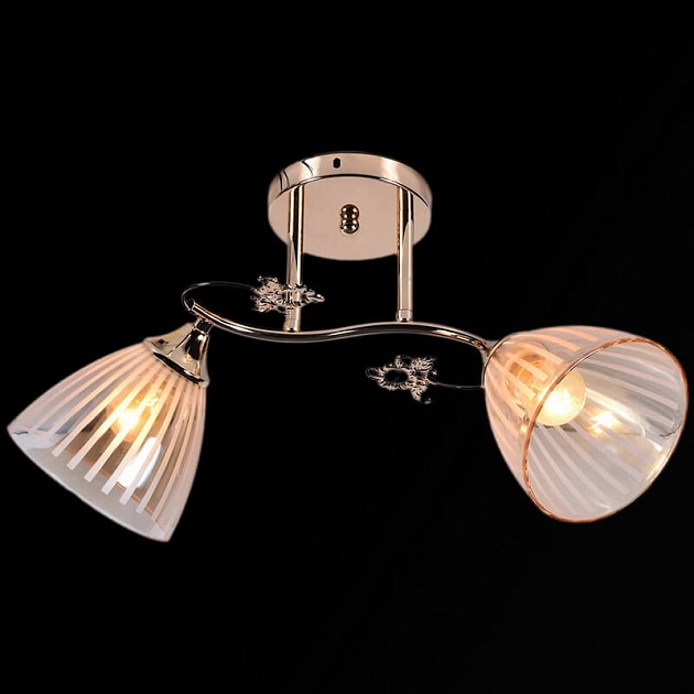 Потолочный светильник Reluce 01149-0.3-02 Фото № 