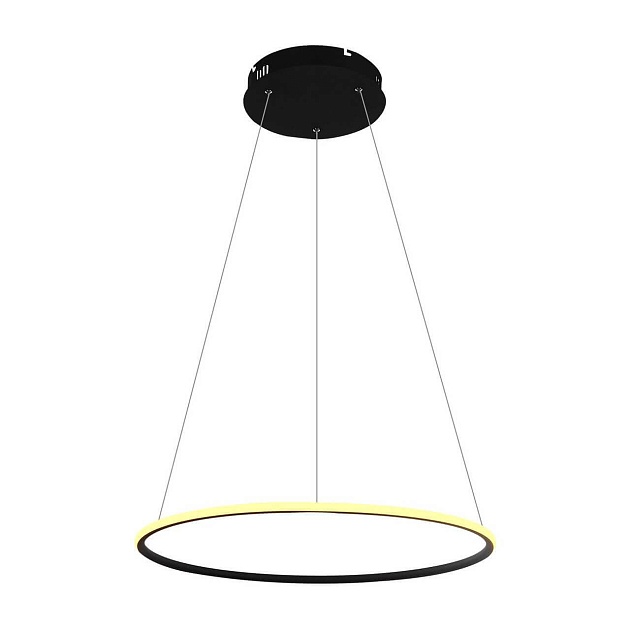 Подвесной светодиодный светильник Arte Lamp A2500SP-1BK Фото № 