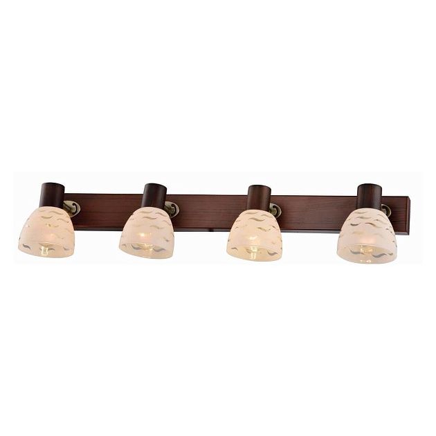 Спот Toplight Shayla TL3730Y-04BB Фото № 