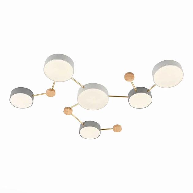 Потолочный светильник Evoluce DOSSENA SLE600102-06 изображение 4 Потолочный светильник Evoluce DOSSENA SLE600102-06 Фото № 4