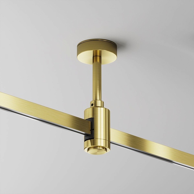 Крепление потолочное Maytoni Flarity TRA156C-B1-BS изображение 5 Крепление потолочное Maytoni Flarity TRA156C-B1-BS Фото № 5