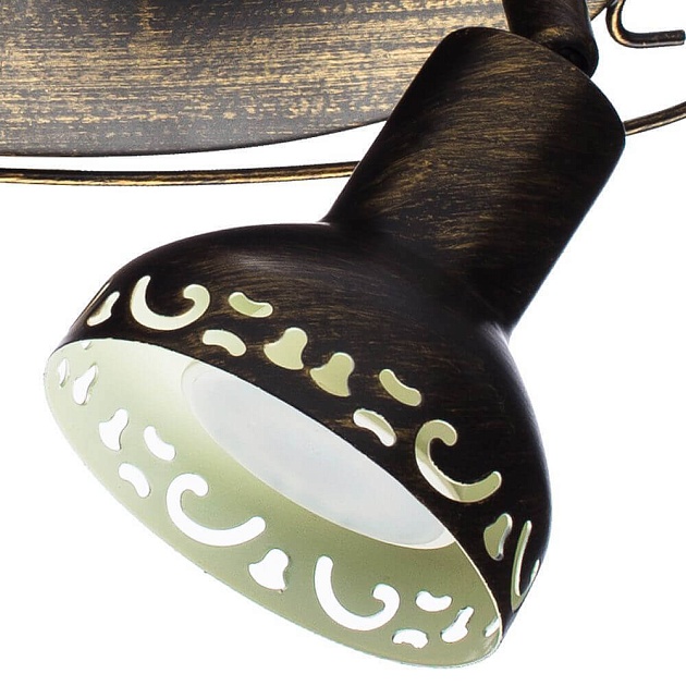 Спот Arte Lamp Focus A5219AP-2BR Фото № 3