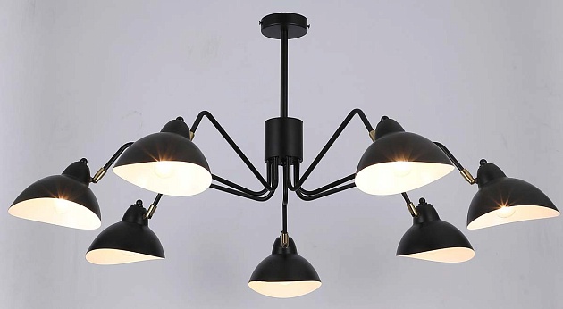 Подвесная люстра Rivoli Geraldine 4101-307 Б0055673 изображение 2 Подвесная люстра Rivoli Geraldine 4101-307 Б0055673 Фото № 2