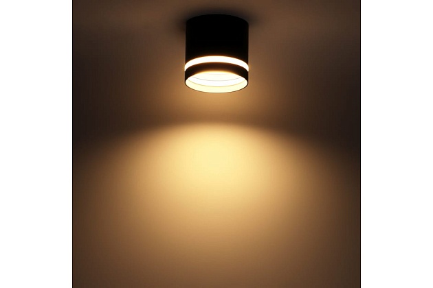 Накладной потолочный светильник Ritter Arton 59943 2 Фото № 2