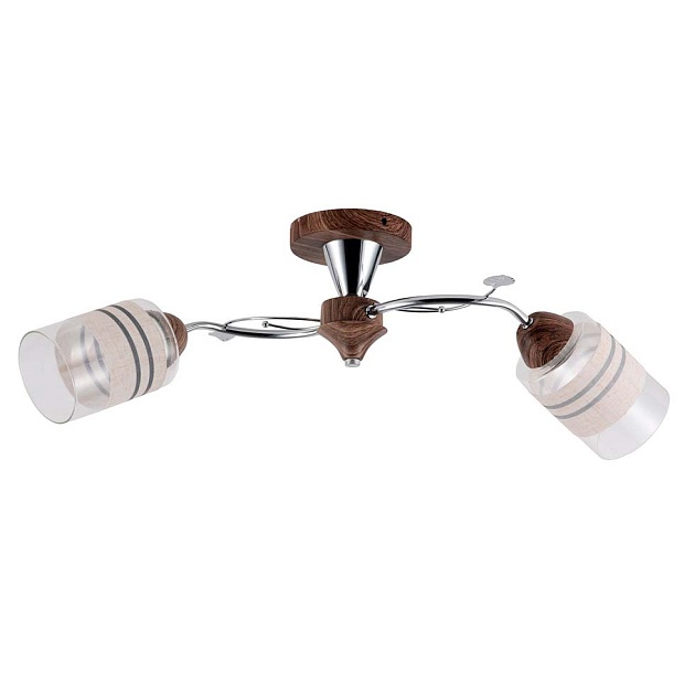 Потолочный светильник ЭкономСвет 66001/2WD+CR WT изображение Потолочный светильник ЭкономСвет 66001/2WD+CR WT Фото №