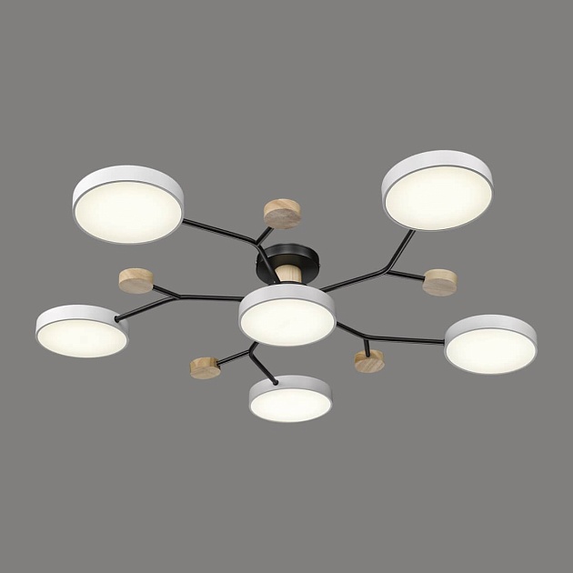 Потолочная светодиодная люстра Velante 446-007-06 изображение Потолочная светодиодная люстра Velante 446-007-06 Фото №