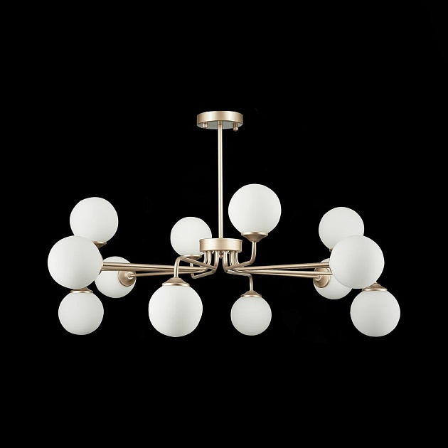 Подвесная люстра ST Luce Redjino SLE106203-12 Фото № 2