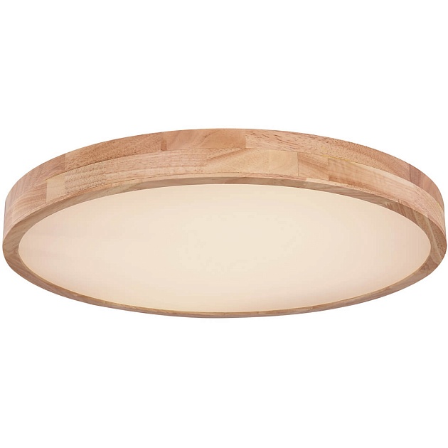 Потолочный светодиодный светильник Globo Rainer 41745-48 изображение Потолочный светодиодный светильник Globo Rainer 41745-48 Фото №