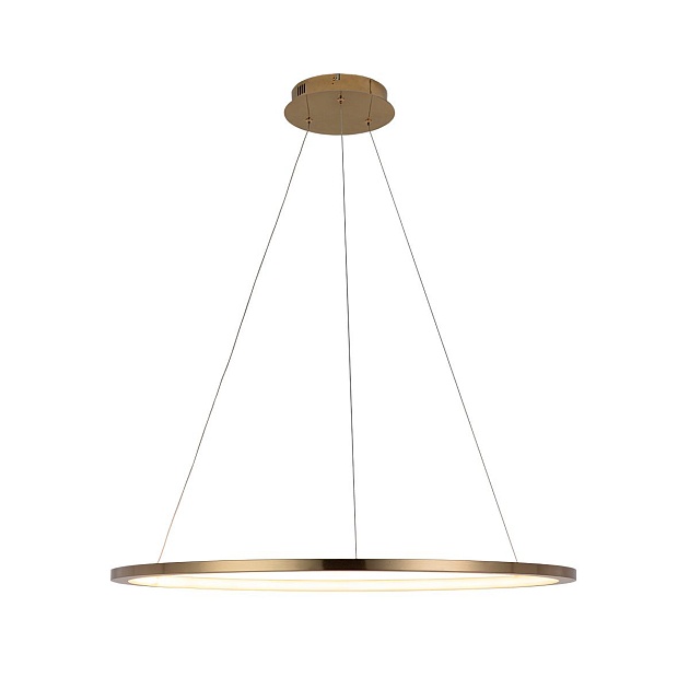 Подвесной светодиодный светильник Loft IT Ring 10014L изображение Подвесной светодиодный светильник Loft IT Ring 10014L Фото №