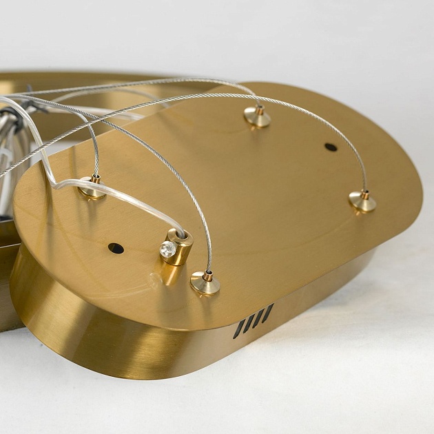 Подвесная светодиодная люстра Lussole Conecuh LSP-8622 Фото № 4