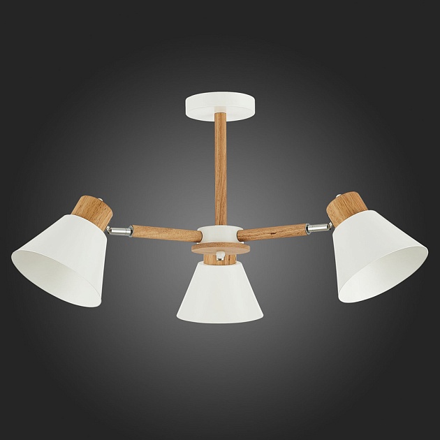 Потолочная люстра Evoluce Buve SLE103702-03 изображение 3 Потолочная люстра Evoluce Buve SLE103702-03 Фото № 3