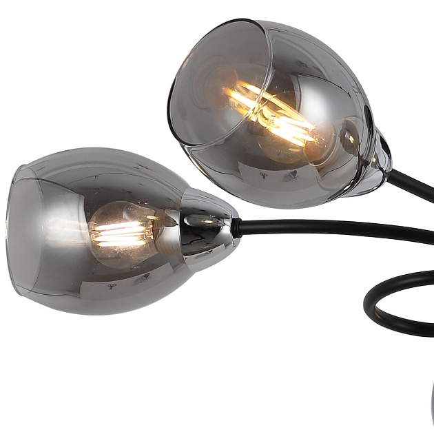 Потолочная люстра Illumico IL8263-6COU-79 BK CR изображение 3 Потолочная люстра Illumico IL8263-6COU-79 BK CR Фото № 3
