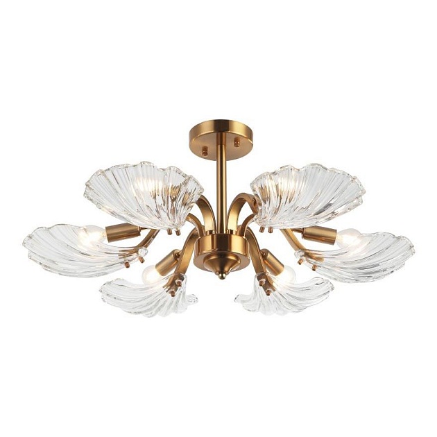 Потолочная люстра Stilfort Muschel 2153/05/06P изображение Потолочная люстра Stilfort Muschel 2153/05/06P Фото №