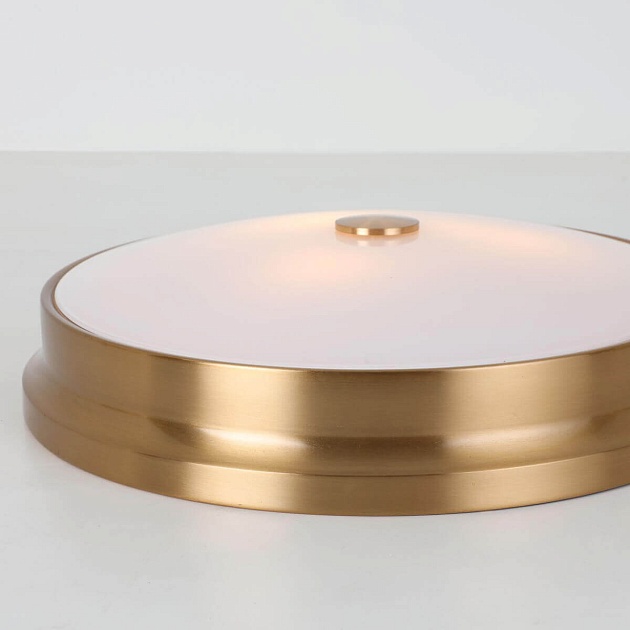 Потолочный светильник Favourite Pannikin 2375-3C Фото № 5