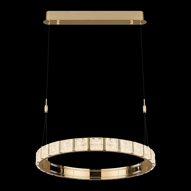 Подвесная светодиодная люстра Wertmark Vera WE458.01.323 Фото № 