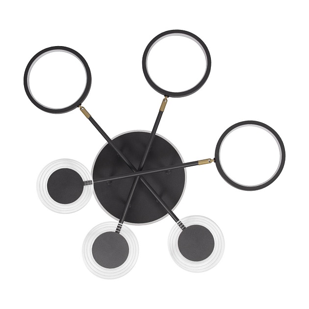 Потолочная светодиодная люстра Loft IT Megan 10164S Black изображение 4 Потолочная светодиодная люстра Loft IT Megan 10164S Black Фото № 4