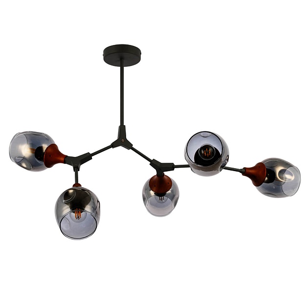 Потолочная люстра Evoluce Ciotolla SLE113402-05 Фото № 