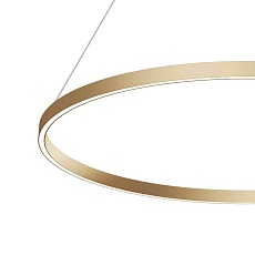 Подвесной светодиодный светильник Maytoni Rim MOD058PL-L54BS4K 1