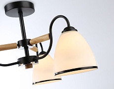 Потолочная люстра Ambrella light Traditional Modern TR3033241 3