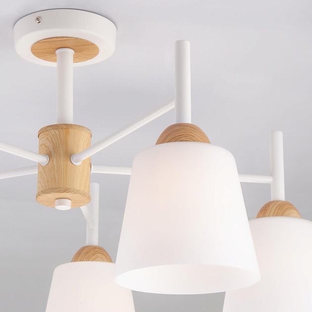 Потолочная люстра Eurosvet 70085/5 белый Фото № 3