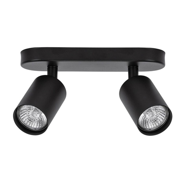 Спот Arte Lamp Aquarius A3226PL-2BK Фото № 