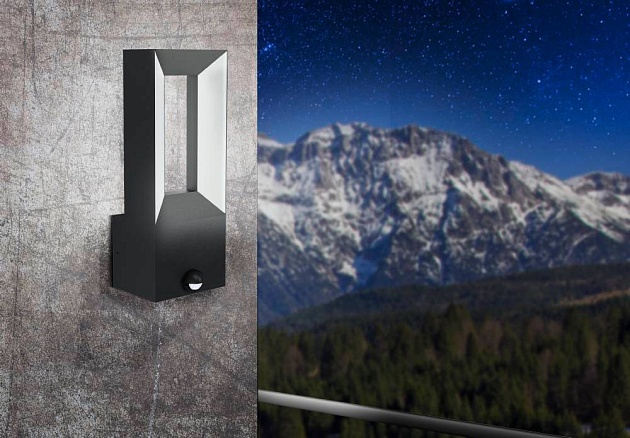 Уличный настенный светодиодный светильник Eglo Riforano 98726 Фото № 2