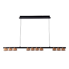 Подвесная светодиодная люстра Favourite Interline 4266-10P