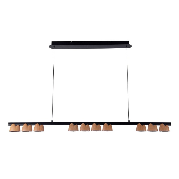 Подвесная светодиодная люстра Favourite Interline 4266-10P изображение Подвесная светодиодная люстра Favourite Interline 4266-10P Фото №