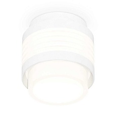 Комплект накладного светильника Ambrella light Techno Spot XS (C8431, N8401) XS8431001