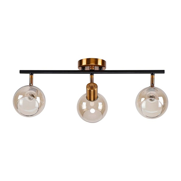 Спот ЭкономСвет 20783/3GD+BK BR Фото № 