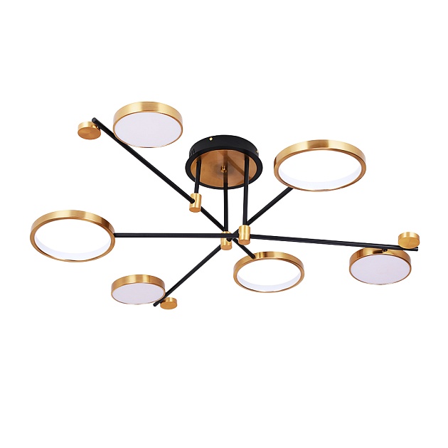 Потолочная светодиодная люстра Arte Lamp Holly A1364PL-6PB Фото № 