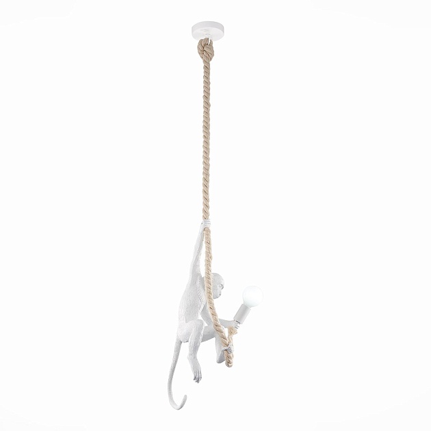 Подвесной светильник Evoluce Tenato SLE115103-01 Фото № 