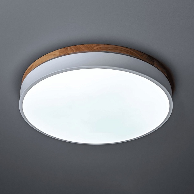 Потолочный светодиодный светильник Ritter Snello 51623 5 изображение 5 Потолочный светодиодный светильник Ritter Snello 51623 5 Фото № 5