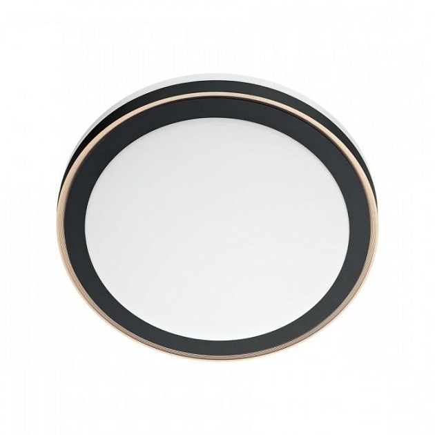 Настенно-потолочный светодиодный светильник Sonex Akuna 7621/DL Фото № 