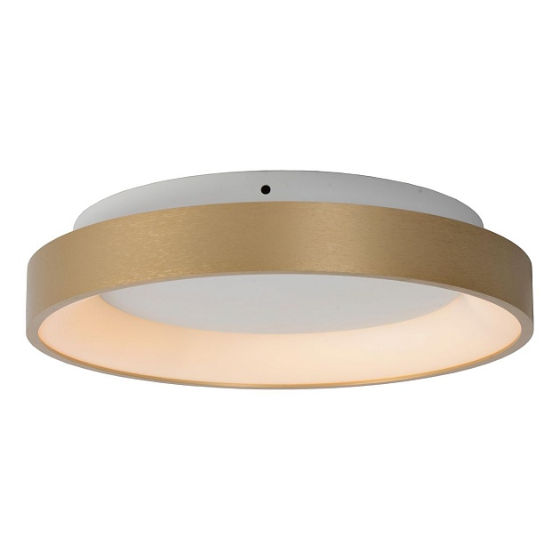 Потолочный светодиодный светильник Lucide Vidal 46103/20/02 Фото № 3