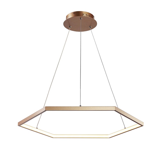 Подвесной светодиодный светильник Favourite Hexagon 2103-6P Фото № 