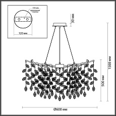 Подвесная люстра Odeon Light DELICA 4969/10 1